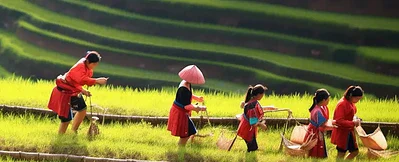 longsheng-attractions
