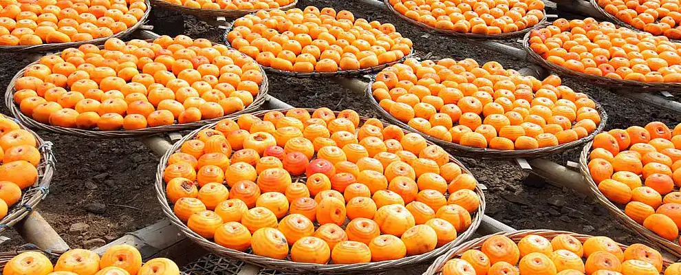 7-Regional-Fruits-To-Try--Local-Flavors-&-Travel-Insights