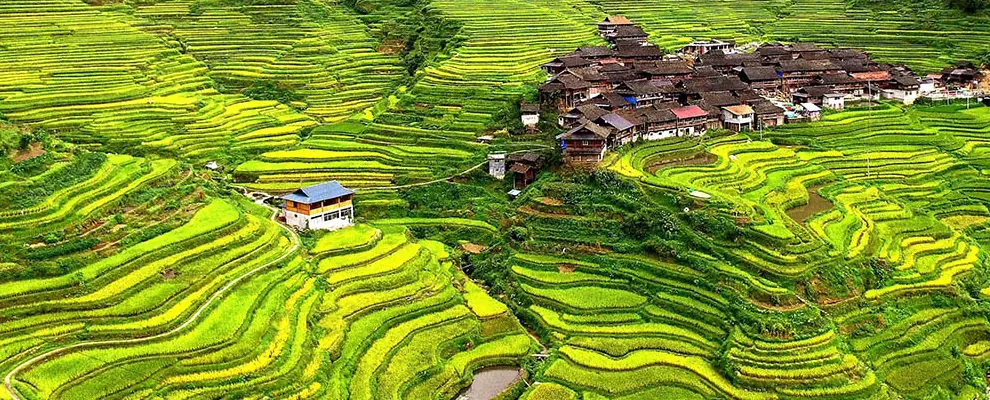 Longsheng-Terraces-Guide--Best-Routes,-Seasons-&-Tips