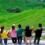 Longsheng Terraces Best Photography Routes & Insider Tips