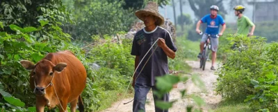Yangshuo Hiking And Cycling Itinerary | 2-Day Nature Guide