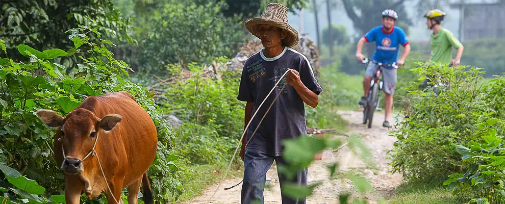 Yangshuo Hiking And Cycling Itinerary | 2-Day Nature Guide